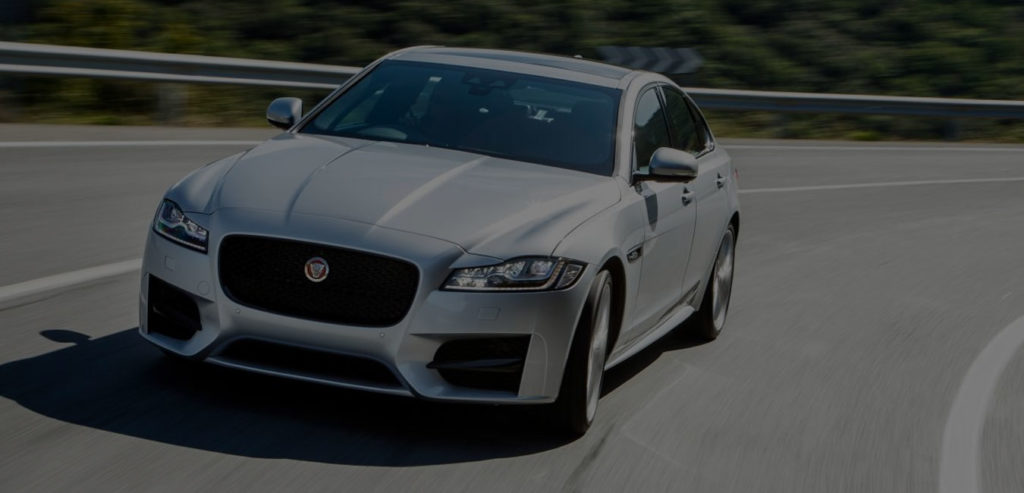 Jaguar Banner